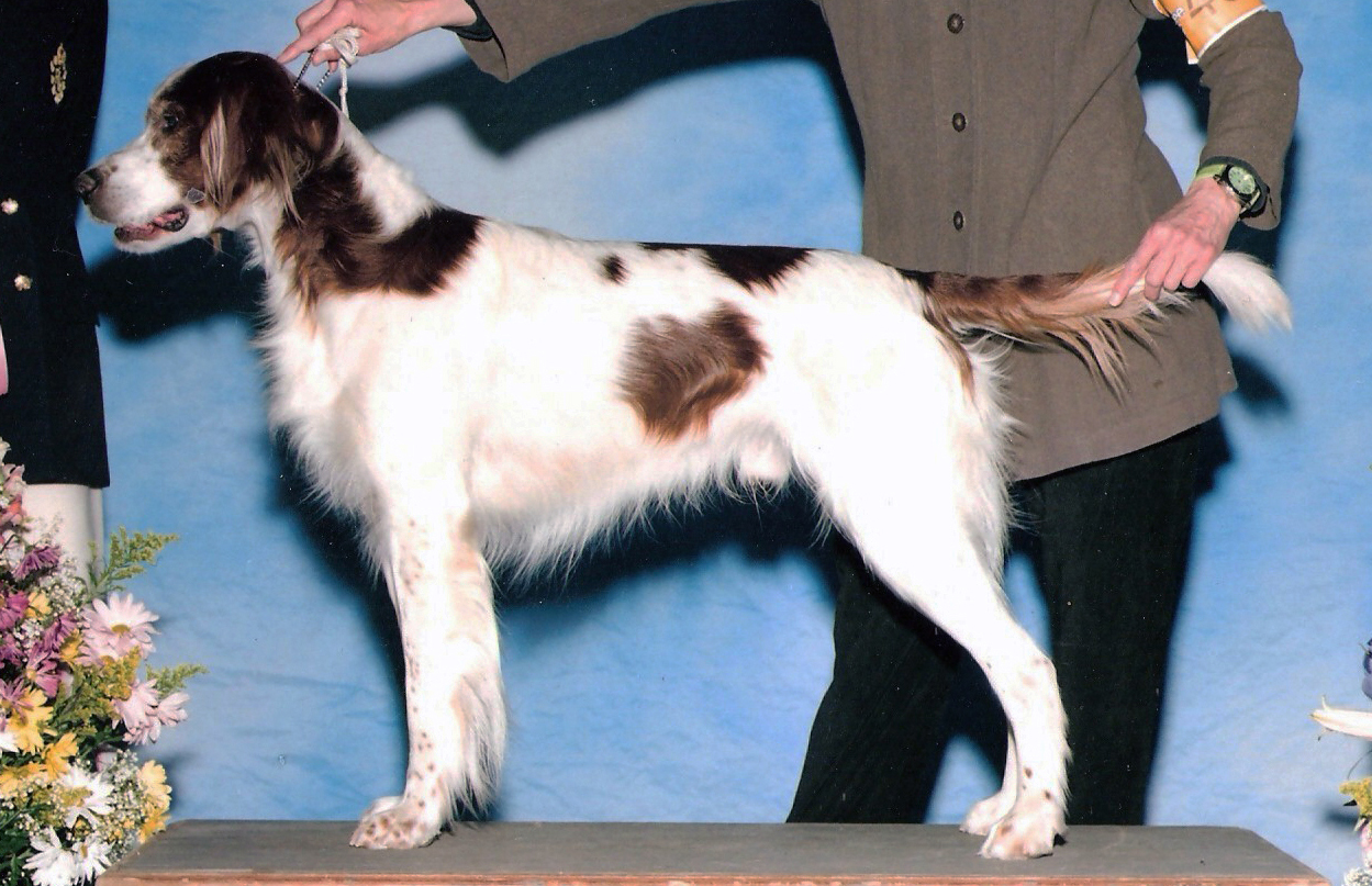 Scully